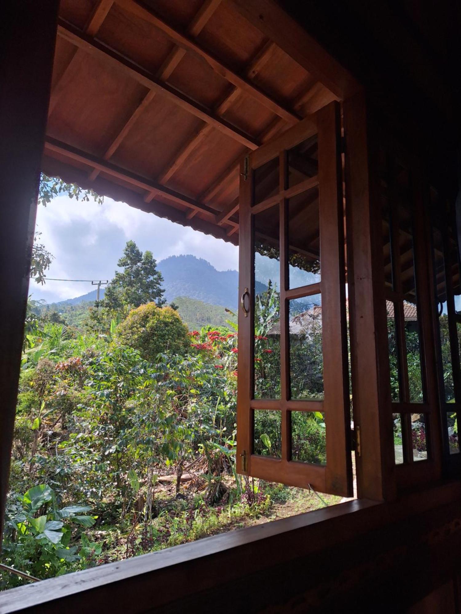 Manigelang Villa Munduk Rum bild